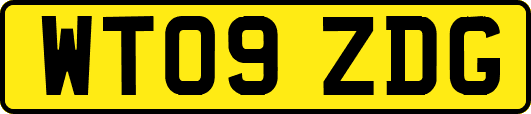 WT09ZDG