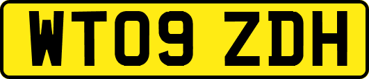 WT09ZDH