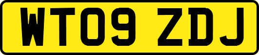 WT09ZDJ