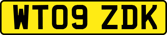 WT09ZDK