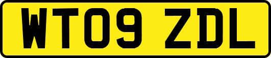 WT09ZDL