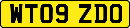 WT09ZDO
