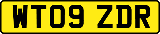 WT09ZDR