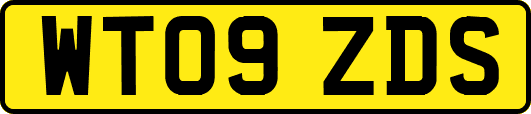 WT09ZDS