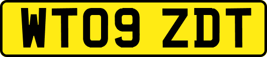 WT09ZDT