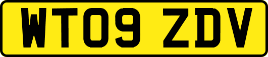 WT09ZDV