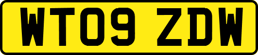 WT09ZDW