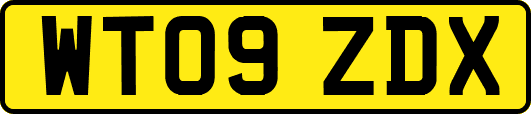 WT09ZDX