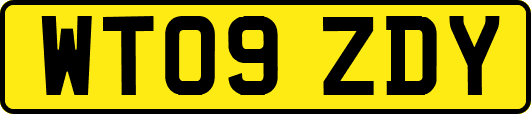 WT09ZDY