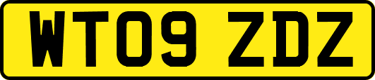 WT09ZDZ