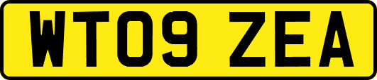 WT09ZEA