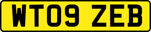 WT09ZEB