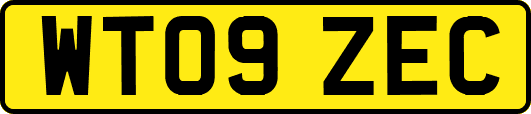 WT09ZEC
