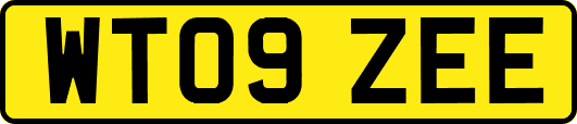 WT09ZEE