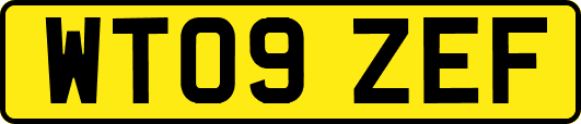 WT09ZEF