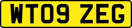 WT09ZEG