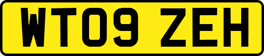 WT09ZEH