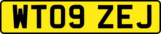 WT09ZEJ