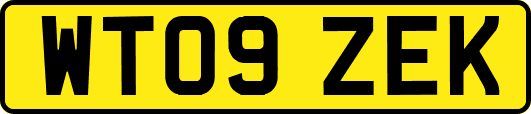 WT09ZEK