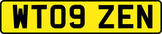 WT09ZEN