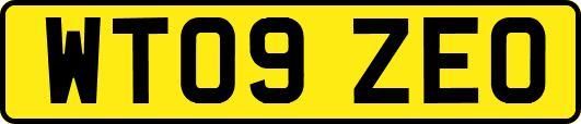 WT09ZEO