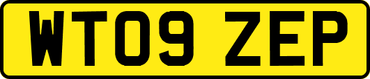 WT09ZEP