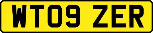 WT09ZER