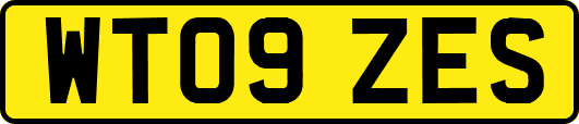 WT09ZES
