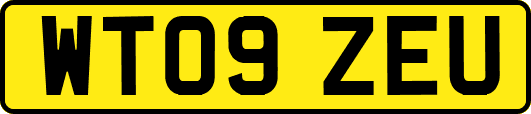 WT09ZEU