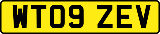 WT09ZEV