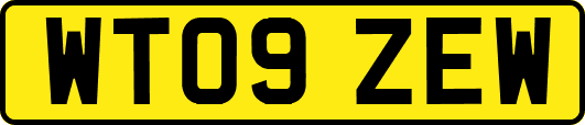 WT09ZEW