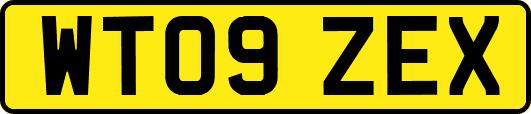 WT09ZEX