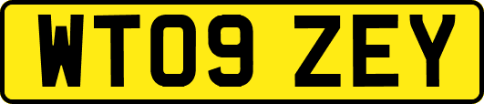 WT09ZEY