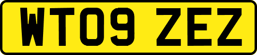 WT09ZEZ