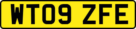 WT09ZFE