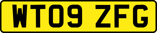 WT09ZFG