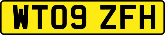 WT09ZFH