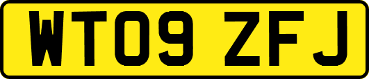 WT09ZFJ