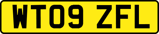 WT09ZFL
