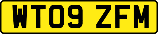 WT09ZFM