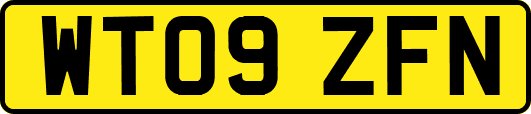 WT09ZFN