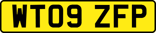 WT09ZFP