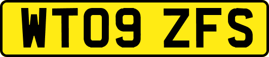 WT09ZFS