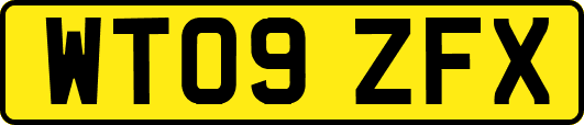 WT09ZFX
