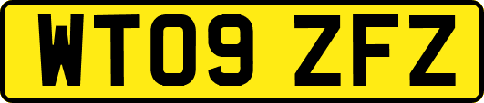 WT09ZFZ