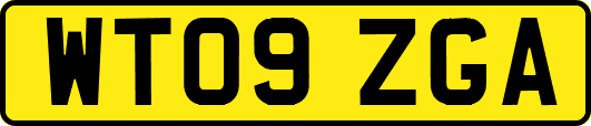 WT09ZGA