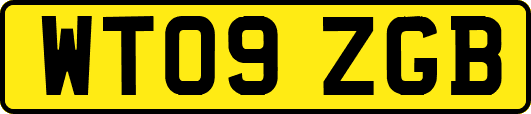 WT09ZGB
