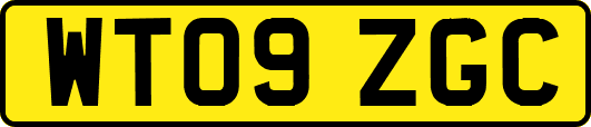 WT09ZGC