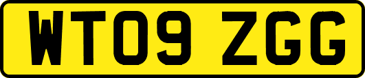 WT09ZGG