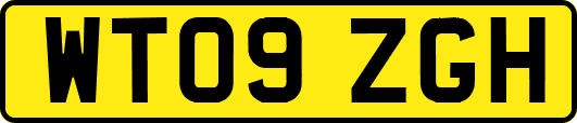 WT09ZGH